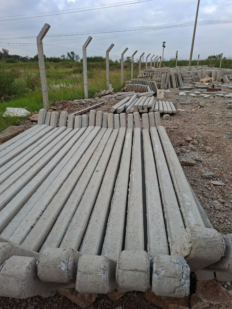 Posts installed on a barbed-wire fence line, with fresh stock curing behind