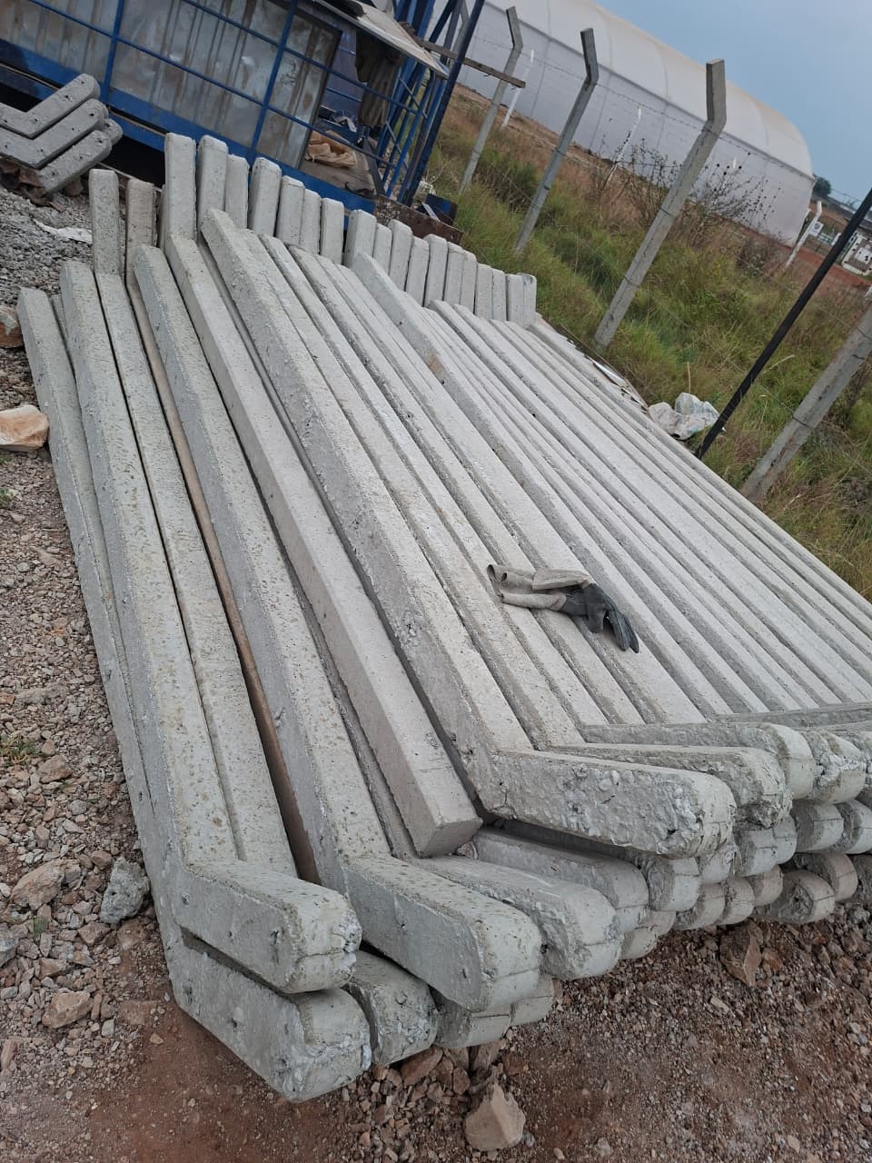 Freshly cast reinforced concrete fence posts arranged for controlled curing